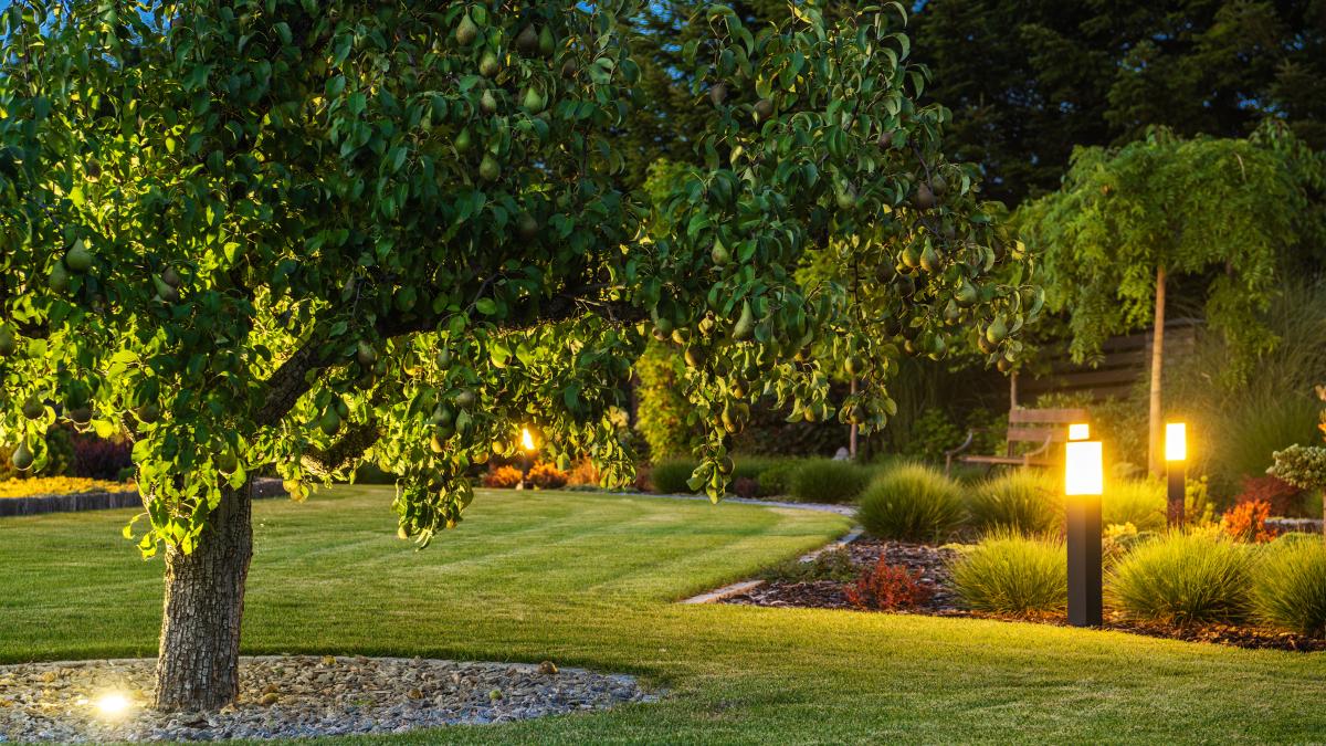 Landscape Lighting
