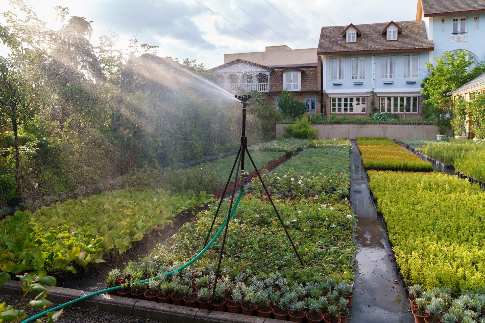 Irrigation 1