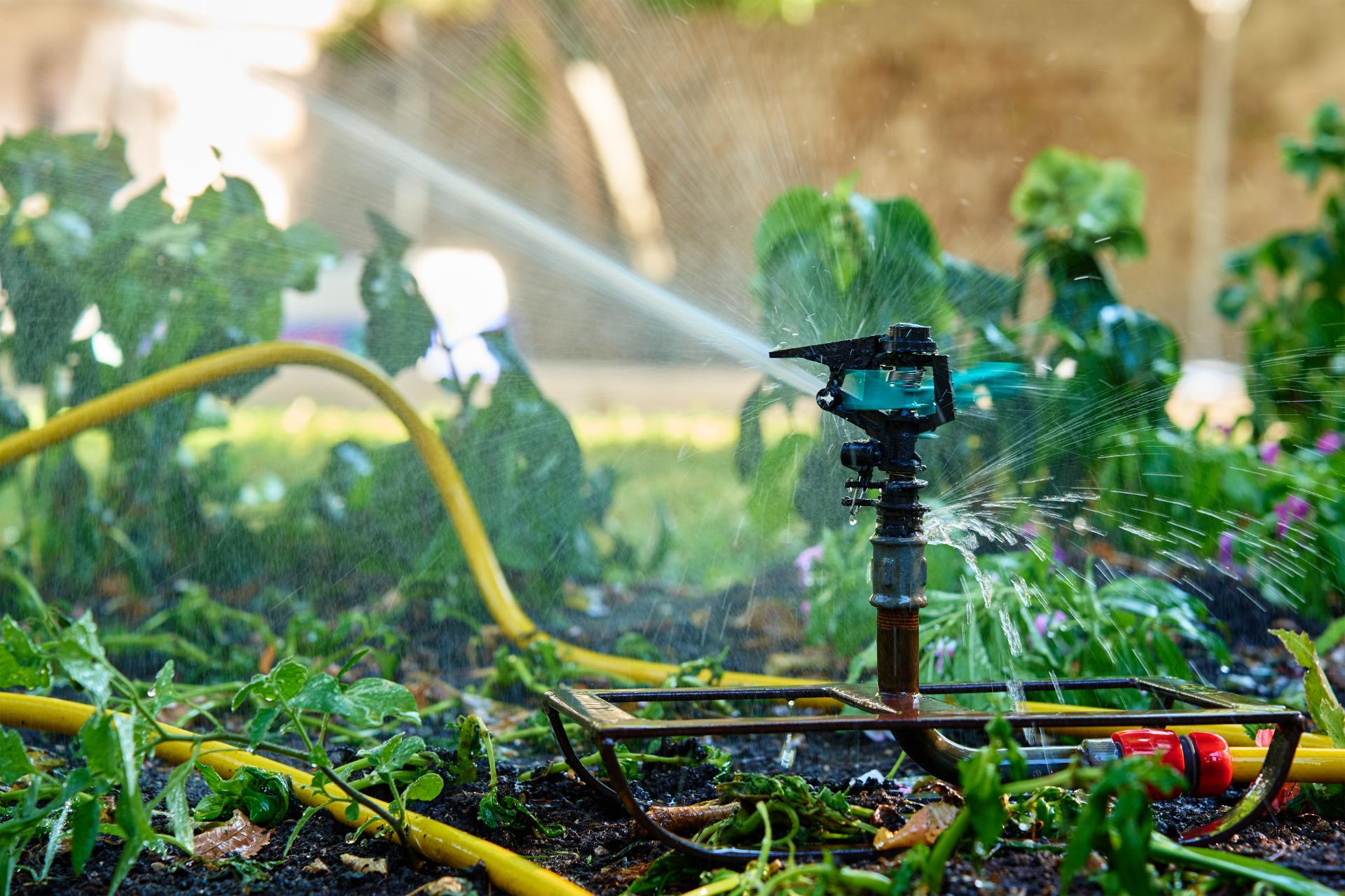 Irrigation System