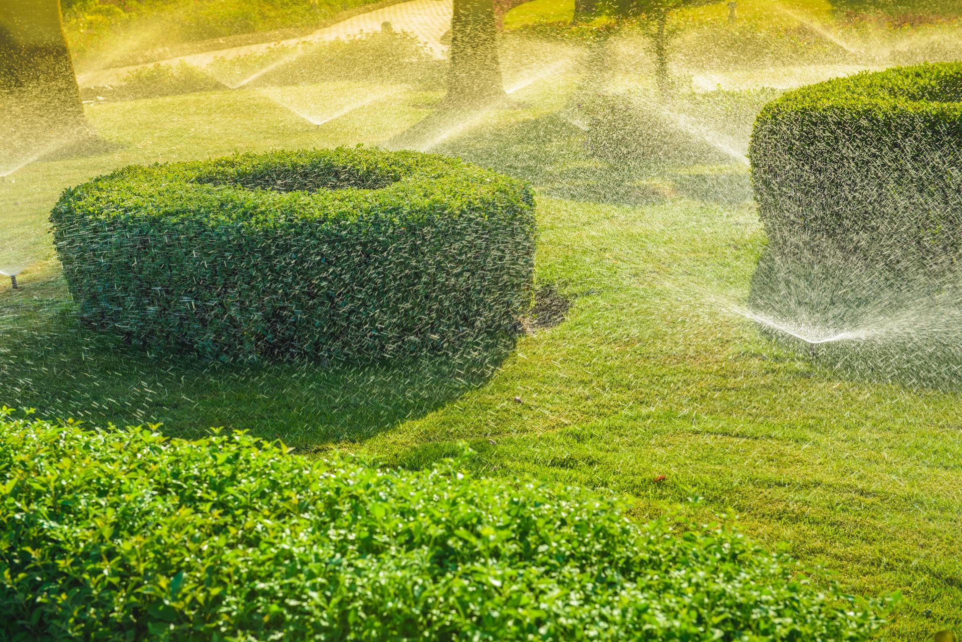 Irrigation 3