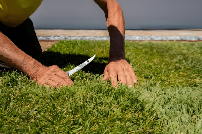 Turf Maintenance and Repairs 2