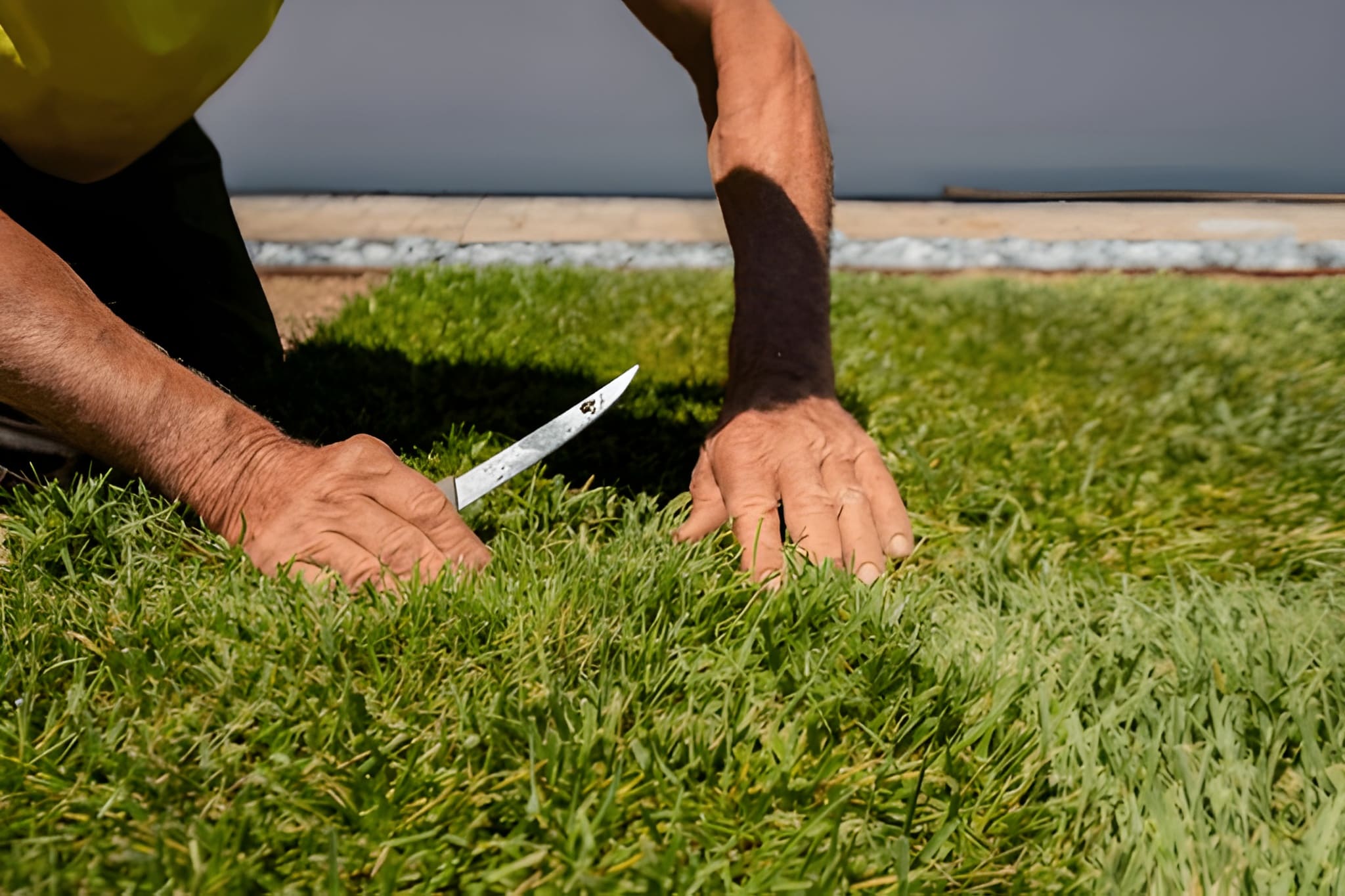 Turf Maintenance and Repairs 2