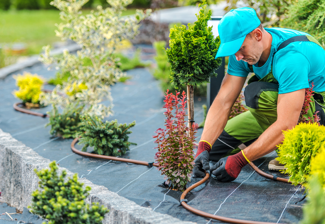 Structured low-water planting beds with clean gravel mulch and automated drip lines