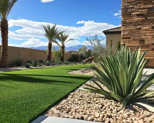 Completed desert plant installation showing native shrubs and succulents in Las Vegas yard