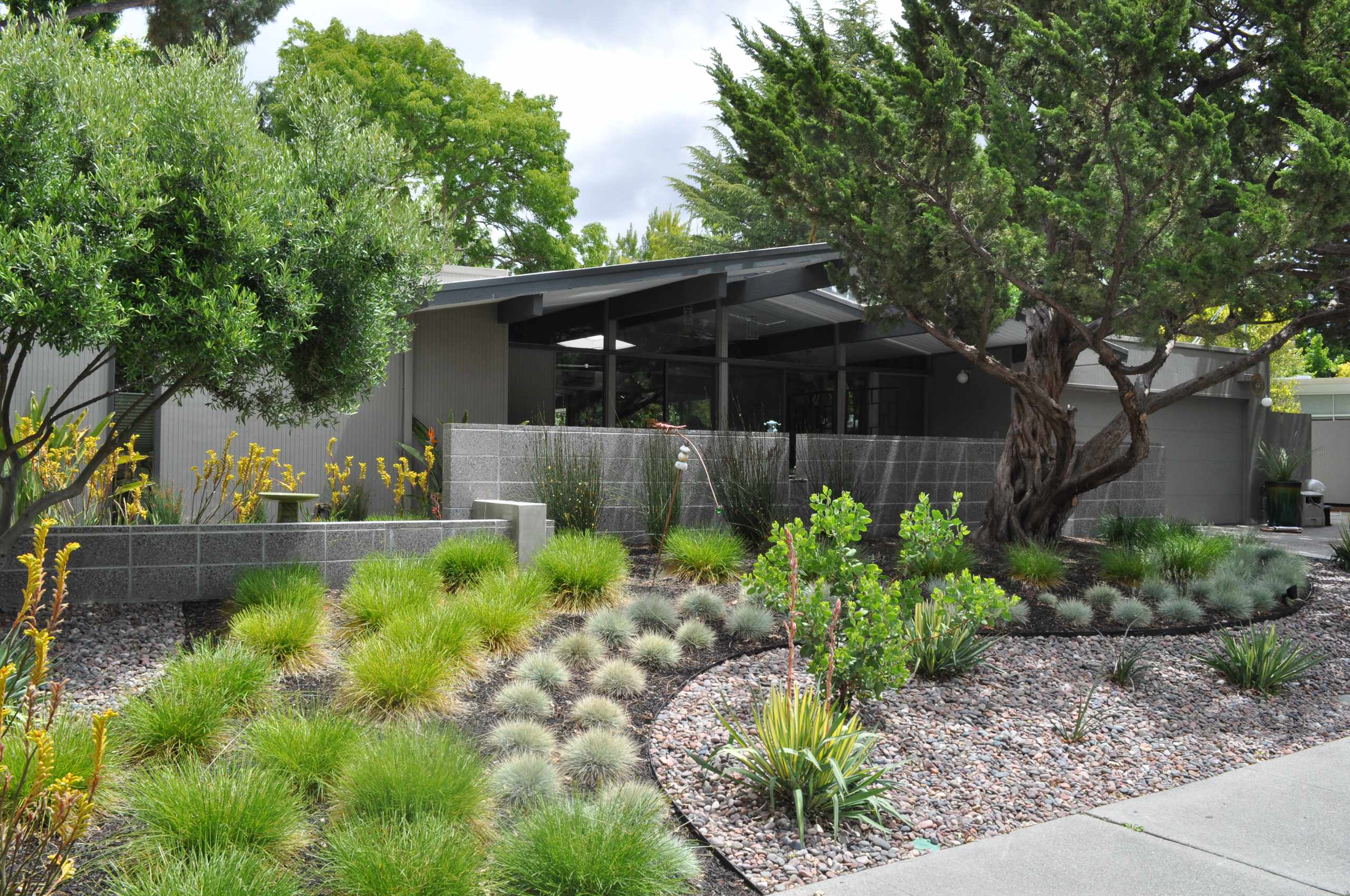 A modern desert home front yard landscape layout with rock beds and drought resistant design