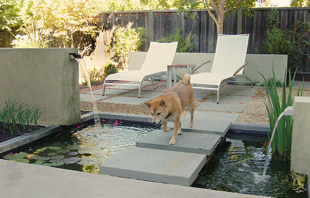 Modern backyard layout with premium artificial turf and desert landscaping in Henderson