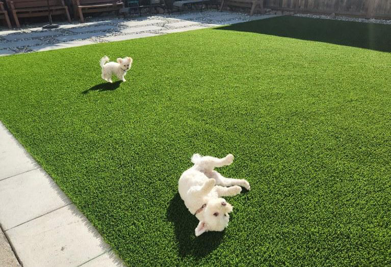 Spring Valley commercial-grade turf installation closeup