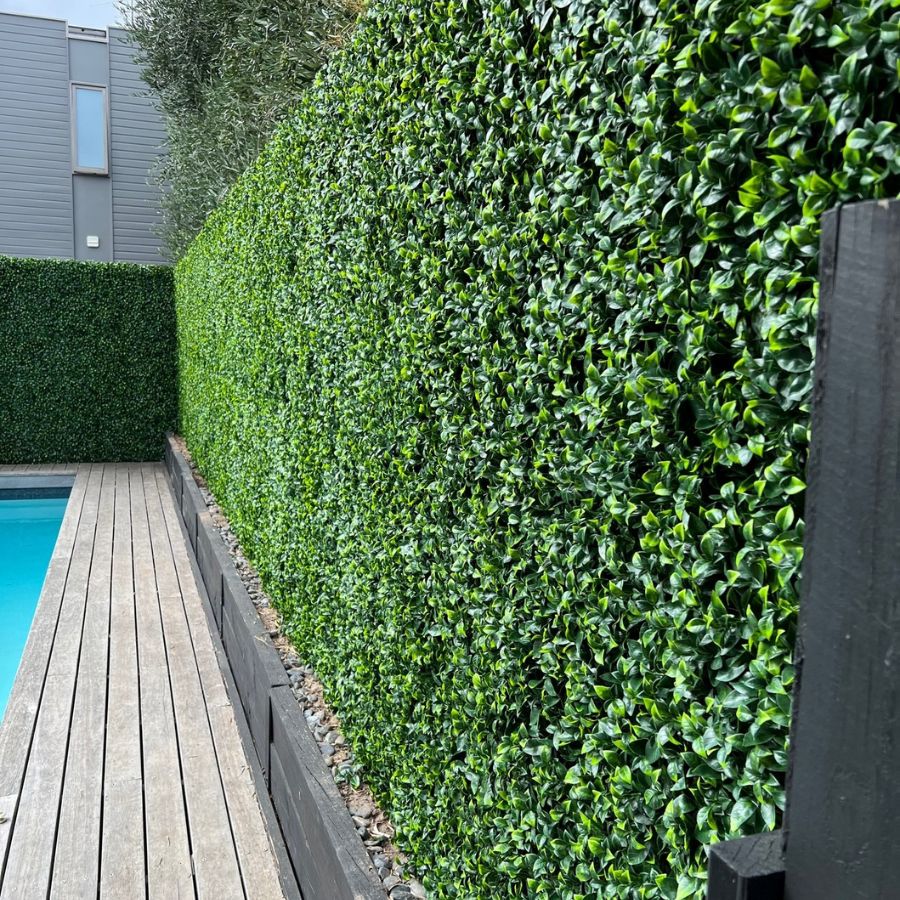 Backyard Turf Design in Las Vegas