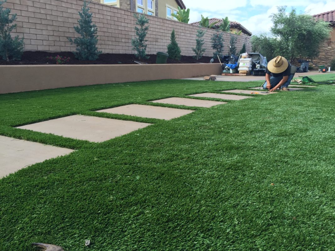 Commercial artificial green wall installation at outdoor restaurant in Las Vegas